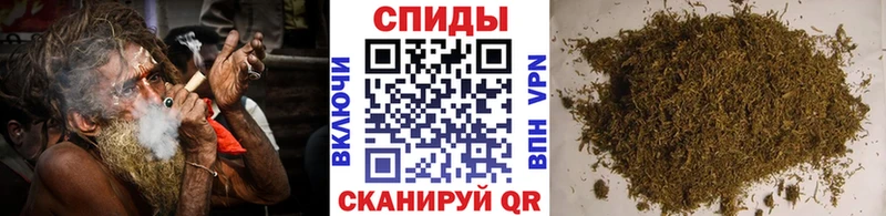 Бутират BDO  mega онион  Бобров 