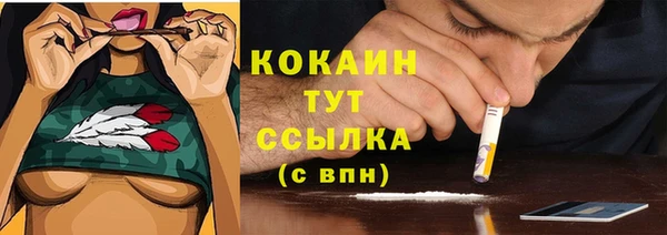 сатива Арсеньев