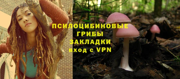 сатива Арсеньев