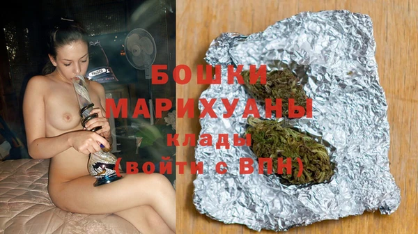 сатива Арсеньев